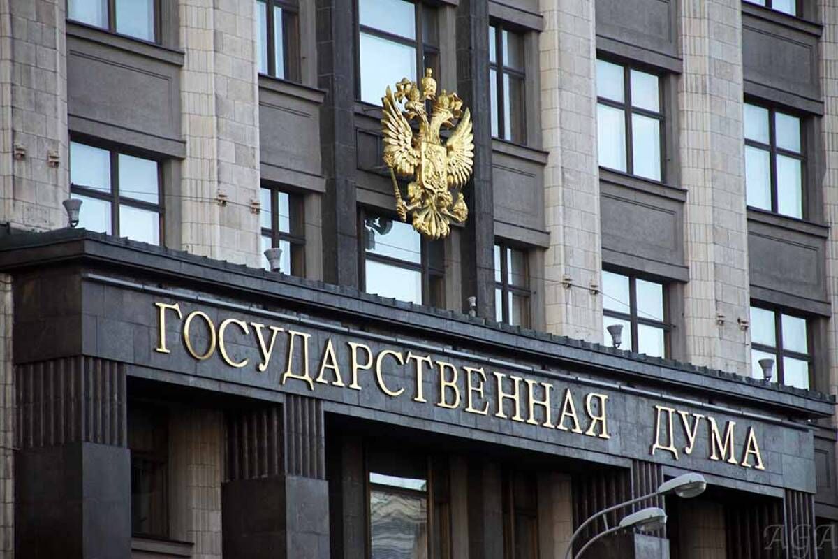Законопроект о чайлдфри запрещает «пропаганду» в интернете и СМИ